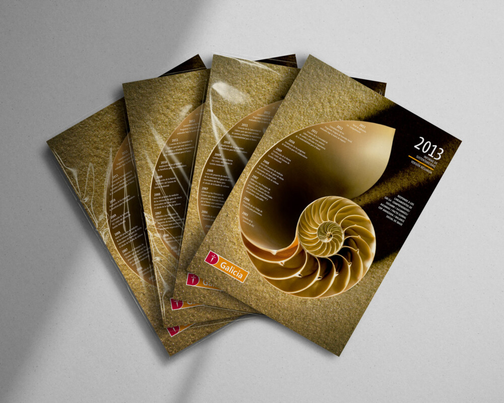 Banco Galicia report